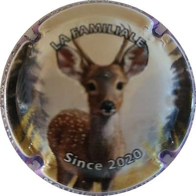 N°127 La Familliale, since 2020, Biche
Photo Joëlle MENNERET
