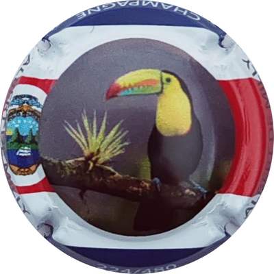 N°111 Le Toucan
Photo Christophe LELU
