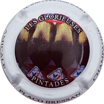 N°122a Placos Bressan, les glorieuses, pintades
Photo Christophe LELU
