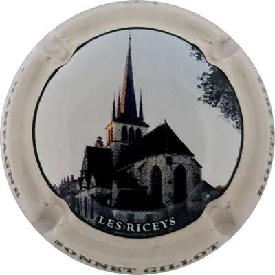 N°NR Route 2025, Les Riceys, 01 sur 12
Photo Joëlle MENNERET
Mots-clés: NR