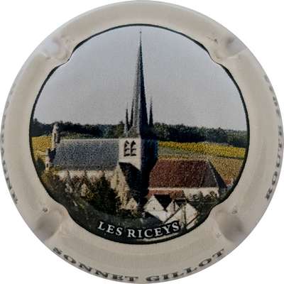 N°NR Route 2025, Les Riceys, 06 sur 12
Photo Joëlle MENNERET
Mots-clés: NR