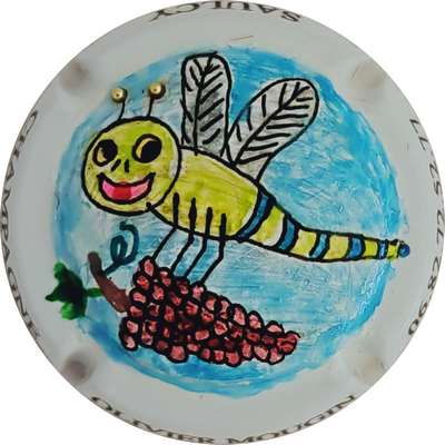 N°NR PALM, libellule, 80 expl
Photo Christophe LELU
Mots-clés: NR