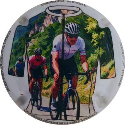 N°NR Tour de France 2025, maillot blanc, 480 expl
Photo Christophe LELU
Mots-clés: NR