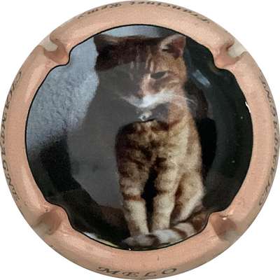 N°NR Chat Melo, contour saumon
Photo Bruno HEBMANN GONTIER
Mots-clés: NR