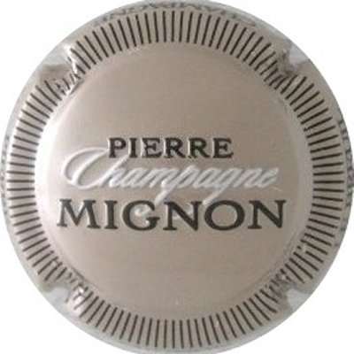 N°100f Gris, striée noir, champagne en blanc, Pierre Mignon en noir
Photo NIVAULT Pierre
