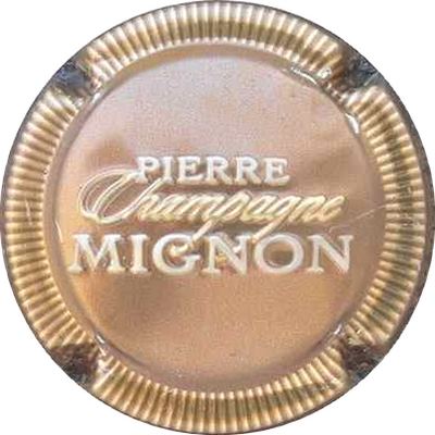 N°100x-NR Estampée, bronze, striée or, Champagne en or, Pierre mignon en blanc
Photo THIERRY Jacques
Mots-clés: NR