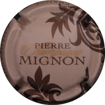 N°061o Grège, feuilles marron, Pierre Mignon marron
Photo BENEZETH Louis
