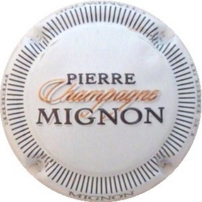 N°100b Blanc, stries noires, Champagne en or, Pierre Mignon en noir
Photo J.R.
