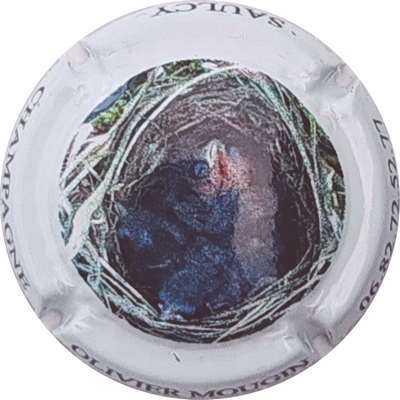 N°NR Série de 6, Nid
Photo Christophe LELU
Mots-clés: NR