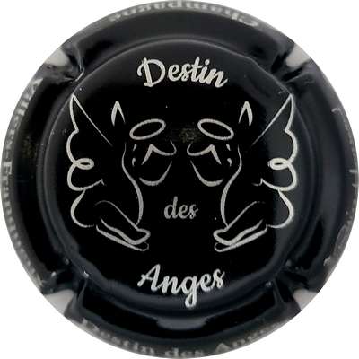 N°NR Destin des anges, noir et Argent
Photo Joëlle MENNERET
Mots-clés: NR