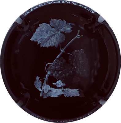 N°NR Grappe au centre, Feuille et grappe, fond noir
Photo Christophe LELU
Mots-clés: NR