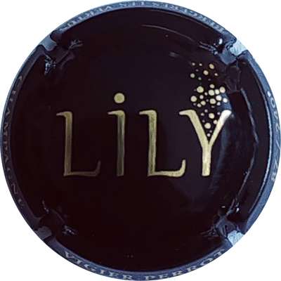 N°NR LILY, noir et or brillant
Photo Christophe LELU
Mots-clés: NR