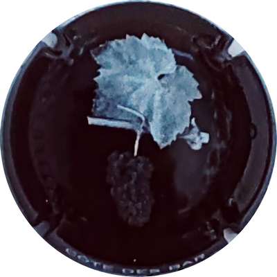 N°NR Feuille et grappe, fond noir et gris
Photo Christophe LELU
Mots-clés: NR