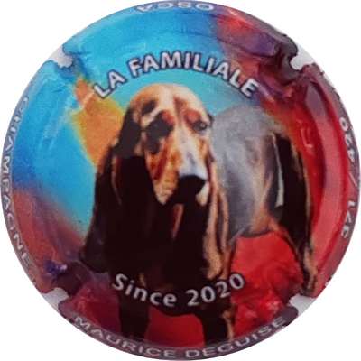 N°NR Since 2020, la familiale, Osca
Photo Christophe LELU
Mots-clés: NR