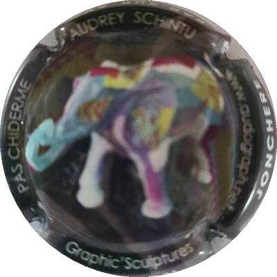 N°109b Paschiderme
Photo Joelle MENNERET
