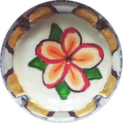 N°66 PALM, frangipanier 2024
Photo Christophe LELU
