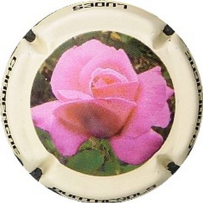 N°19 Série de 6 (fleurs), rose
Photo BENEZETH Louis
