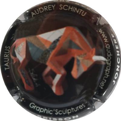 N°109a Taurus
Photo Joelle MENNERET
