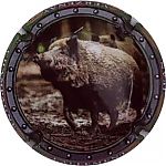 Nom du fichier=28d_sanglier_4.jpg
Taille du fichier=21Ko
Dimensions : 400x400
Ajouté le : 26 Août 2024 28d_sanglier_4.jpg