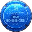 BONNINGRE_Denis_ndeg_2_bleu_metallise_et_blanc.jpg
