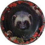 Nom du fichier=Ndeg10d_Canada2C_vison2C_05sur_62C_cote_4.JPG
Taille du fichier=16Ko
Dimensions : 400x400
Ajouté le : 13 Octobre 2025 Ndeg10d_Canada2C_vison2C_05sur_62C_cote_4.JPG