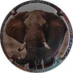 Nom du fichier=Ndeg12d_Afrique2C_Elephant2C_05-sur_062C_1000_expl2C_cote_4.JPG
Taille du fichier=16Ko
Dimensions : 400x400
Ajouté le : 13 Octobre 2025 Ndeg12d_Afrique2C_Elephant2C_05-sur_062C_1000_expl2C_cote_4.JPG