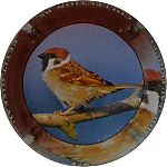 Nom du fichier=Ndeg1379c_Noineau_friquet.JPG
Taille du fichier=20Ko
Dimensions : 400x400
Ajouté le : 31 Août 2024 Ndeg1379c_Noineau_friquet.JPG