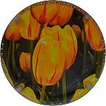 Nom du fichier=Ndeg1381b_03_sur_062C_tulipe.JPG
Taille du fichier=19Ko
Dimensions : 400x400
Ajouté le : 31 Août 2024 Ndeg1381b_03_sur_062C_tulipe.JPG