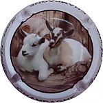 Nom du fichier=Ndeg17b.jpg
Taille du fichier=16Ko
Dimensions : 400x400
Ajouté le : 27 Janvier 2025 Ndeg17b.jpg