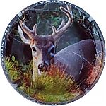 Nom du fichier=Ndeg26b~1.jpg
Taille du fichier=23Ko
Dimensions : 400x400
Ajouté le : 26 Août 2024 Ndeg26b~1.jpg