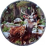 Nom du fichier=Ndeg26d~0.jpg
Taille du fichier=28Ko
Dimensions : 400x400
Ajouté le : 26 Août 2024 Ndeg26d~0.jpg