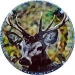 Nom du fichier=Ndeg26~1.jpg
Taille du fichier=20Ko
Dimensions : 400x400
Ajouté le : 26 Août 2024 Ndeg26~1.jpg