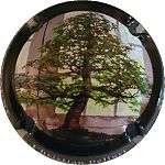 Nom du fichier=Ndeg28_contour_noir.jpg
Taille du fichier=20Ko
Dimensions : 400x400
Ajouté le : 07 Août 2024 Ndeg28_contour_noir.jpg