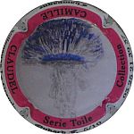 Ndeg44d_Serie_toile2C_Cercle_rose2C_05_sur_102C_cote_5.JPG
