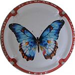 Nom du fichier=Ndeg58e_Papillon2C_contour_rouge2C_cote_3.JPG
Taille du fichier=16Ko
Dimensions : 400x400
Ajouté le : 13 Octobre 2025 Ndeg58e_Papillon2C_contour_rouge2C_cote_3.JPG