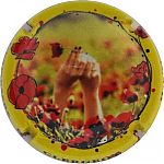 Nom du fichier=Ndeg64b_contour_jaune2C_mais_dans_coquelicots.jpg
Taille du fichier=18Ko
Dimensions : 400x400
Ajouté le : 09 Juin 2025 Ndeg64b_contour_jaune2C_mais_dans_coquelicots.jpg