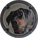 Nom du fichier=NdegNR_Chien2C_contour_gris2C_480_expl.JPG
Taille du fichier=15Ko
Dimensions : 400x400
Ajouté le : 02 Mars 2026 NdegNR_Chien2C_contour_gris2C_480_expl.JPG