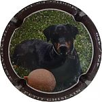 Nom du fichier=NdegNR_Chien2C_contour_marron2C_480_expl.JPG
Taille du fichier=17Ko
Dimensions : 400x400
Ajouté le : 02 Mars 2026 NdegNR_Chien2C_contour_marron2C_480_expl.JPG