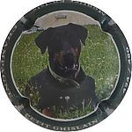 Nom du fichier=NdegNR_Chien2C_contour_vert2C_480_expl.JPG
Taille du fichier=16Ko
Dimensions : 400x400
Ajouté le : 02 Mars 2026 NdegNR_Chien2C_contour_vert2C_480_expl.JPG