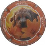 Nom du fichier=NdegNR_Club_Canin2C_contour_orange2C_240_expl.JPG
Taille du fichier=13Ko
Dimensions : 400x400
Ajouté le : 03 Juin 2025 NdegNR_Club_Canin2C_contour_orange2C_240_expl.JPG