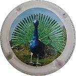 Nom du fichier=cap_s_89_paon.jpg
Taille du fichier=14Ko
Dimensions : 400x400
Ajouté le : 05 Avril 2025 cap_s_89_paon.jpg