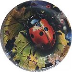 Nom du fichier=coccinelle~1.jpg
Taille du fichier=21Ko
Dimensions : 400x400
Ajouté le : 05 Janvier 2025 coccinelle~1.jpg