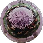 Nom du fichier=contour_mauve~1.jpg
Taille du fichier=19Ko
Dimensions : 400x400
Ajouté le : 07 Août 2024 contour_mauve~1.jpg