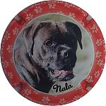 Nom du fichier=contour_rouge_nala_240.jpg
Taille du fichier=18Ko
Dimensions : 400x400
Ajouté le : 10 Octobre 2025 contour_rouge_nala_240.jpg