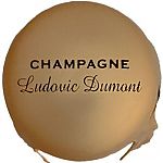 dumont_ludovic.jpg