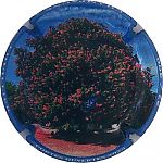 Nom du fichier=portes_ouvertes_2025.jpg
Taille du fichier=22Ko
Dimensions : 400x400
Ajouté le : 17 Août 2025 portes_ouvertes_2025.jpg