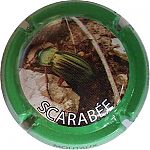 scarabe.jpg