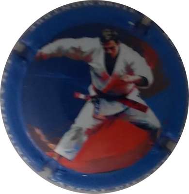 N°09h jeux olympique  2024  (karaté0)
Photo Gérard  DEMOLIN
