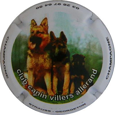 N°04b Jéroboam, 2 bergers allemands. Club Canin Villers Allerand
Photo Jacques
