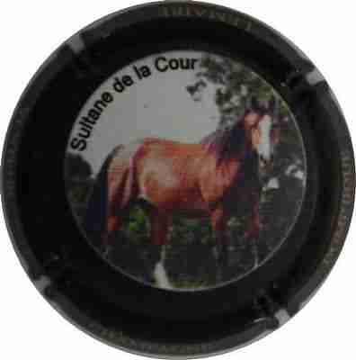 N°17f Série de 4 Jéroboam (cheval), Sultane de la Cour, contour noir
Photo Jacques

